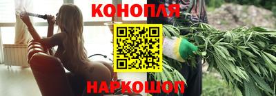 стафф Лесосибирск