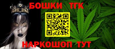 индика Ливны