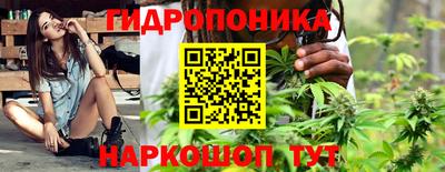 индика Ливны