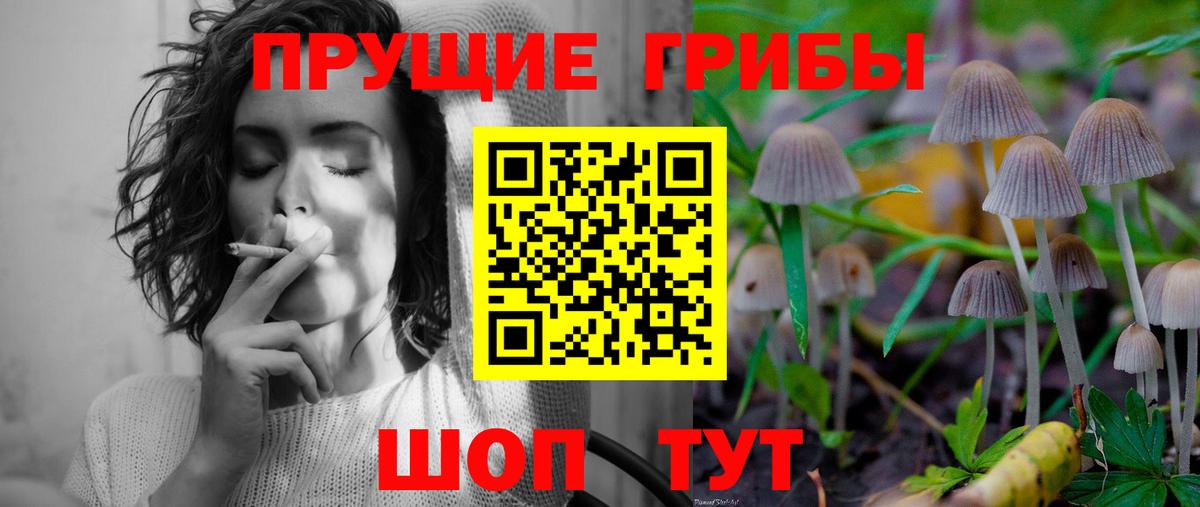 Чернушка  Псилоцибиновые грибы ЛСД  магазин  наркотиков  Вход с VPN 